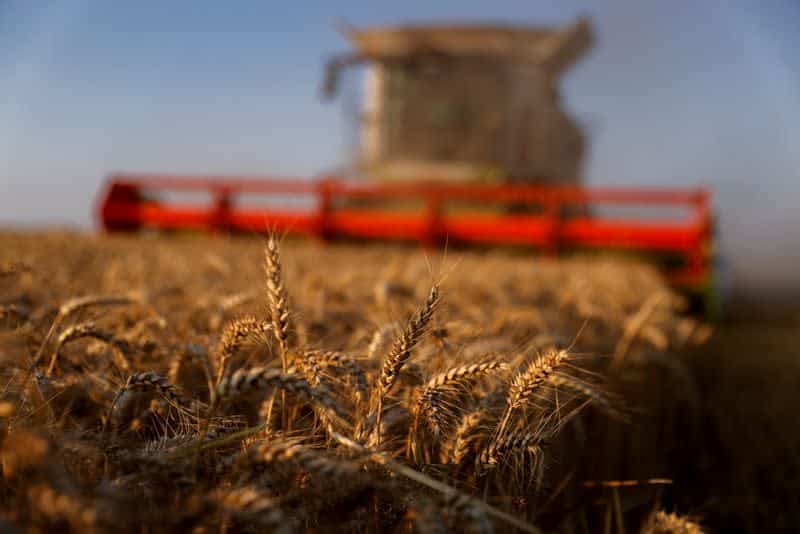 Guerre Russie-Ukraine: les menaces qui plannent sur le marché mondial des céréales