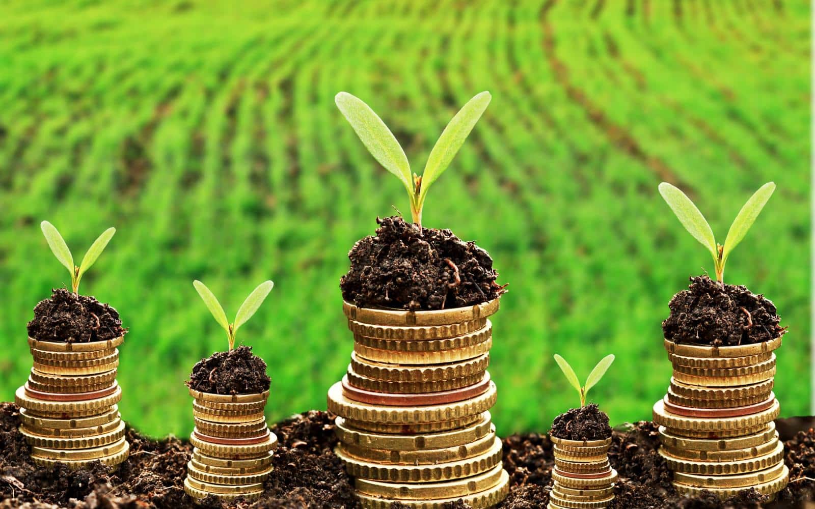 Ghana : la Bourse des obligations vertes bientôt opérationnelle