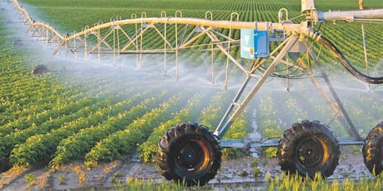 Maroc : Déroulement de la campagne agricole 2021/2022 sous un important déficit pluviométrique