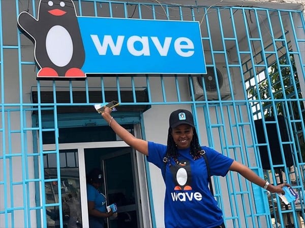 Le pingouin Wave Mobile Money devient Établissement de Monnaie Électronique
