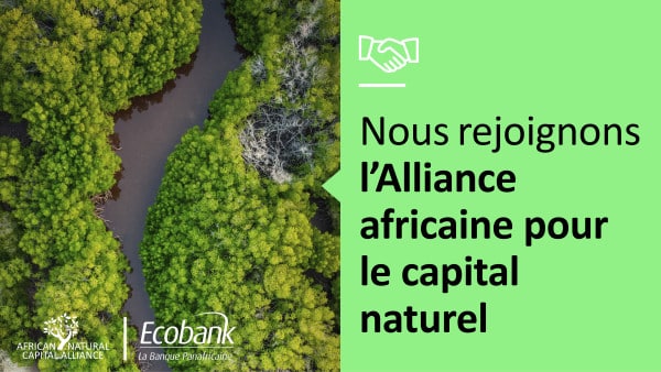 Des institutions financières de premier plan s’associent à la CEA et à FSD Africa pour former l’ l’Alliance africaine pour le capital naturel (ANCA)