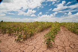 Assurance agricole : le Maroc partage son expertise face aux défis climatiques avec le Burkina Faso