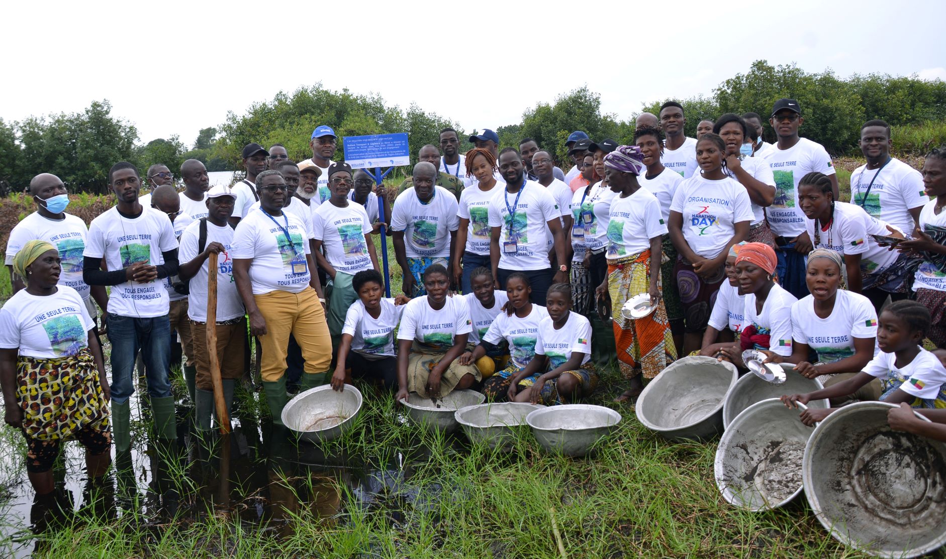 Bolloré Transport & Logistics au Bénin se mobilise pour l’environnement en reboisant la forêt de mangroves de Togbin-Adounko
