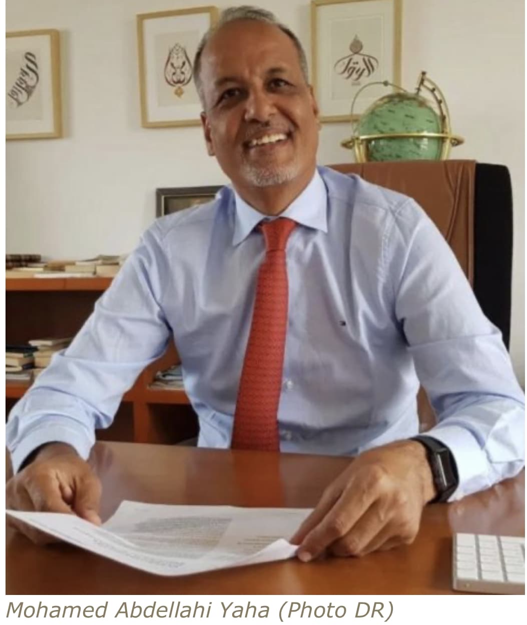 [Tribune de Mohamed Abdellahi Yaha] ’Cessons de penser l’essor africain en termes de rattrapage’