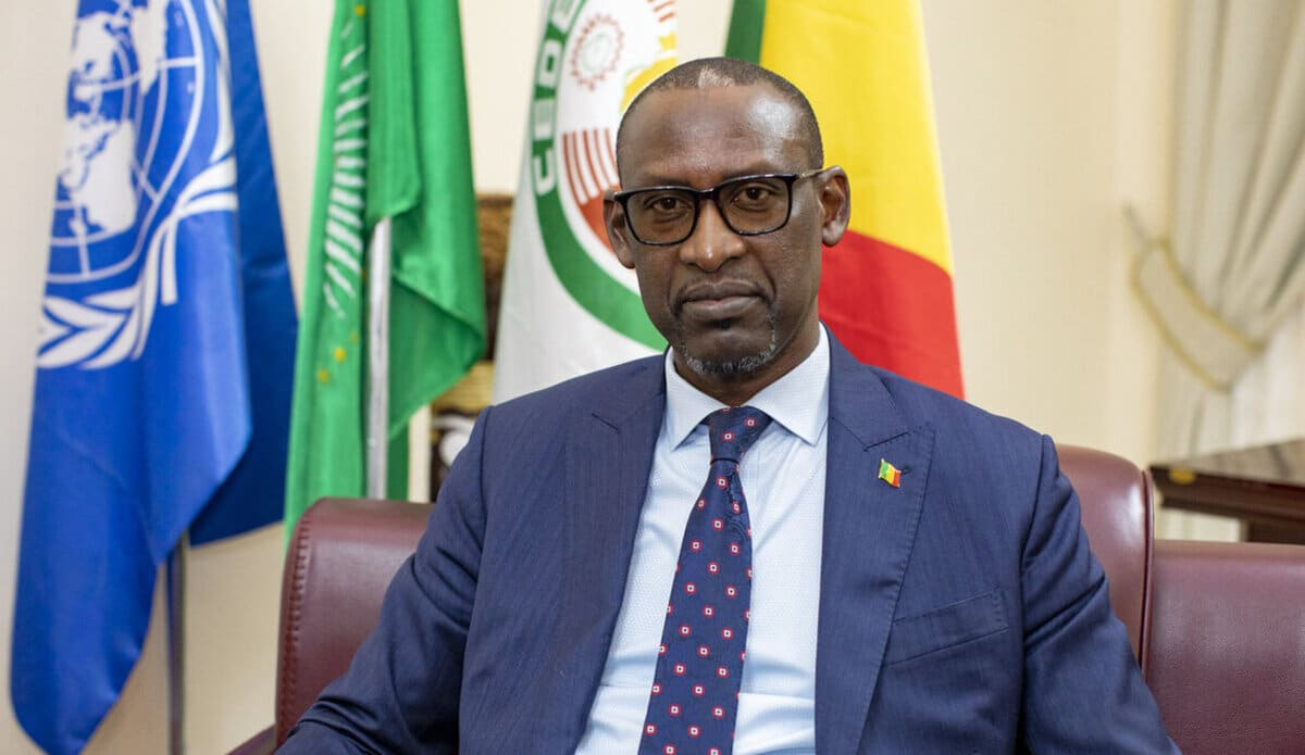 Info ou intox: le Mali accuse la France de fournir  renseignements  et armes   aux terroristes