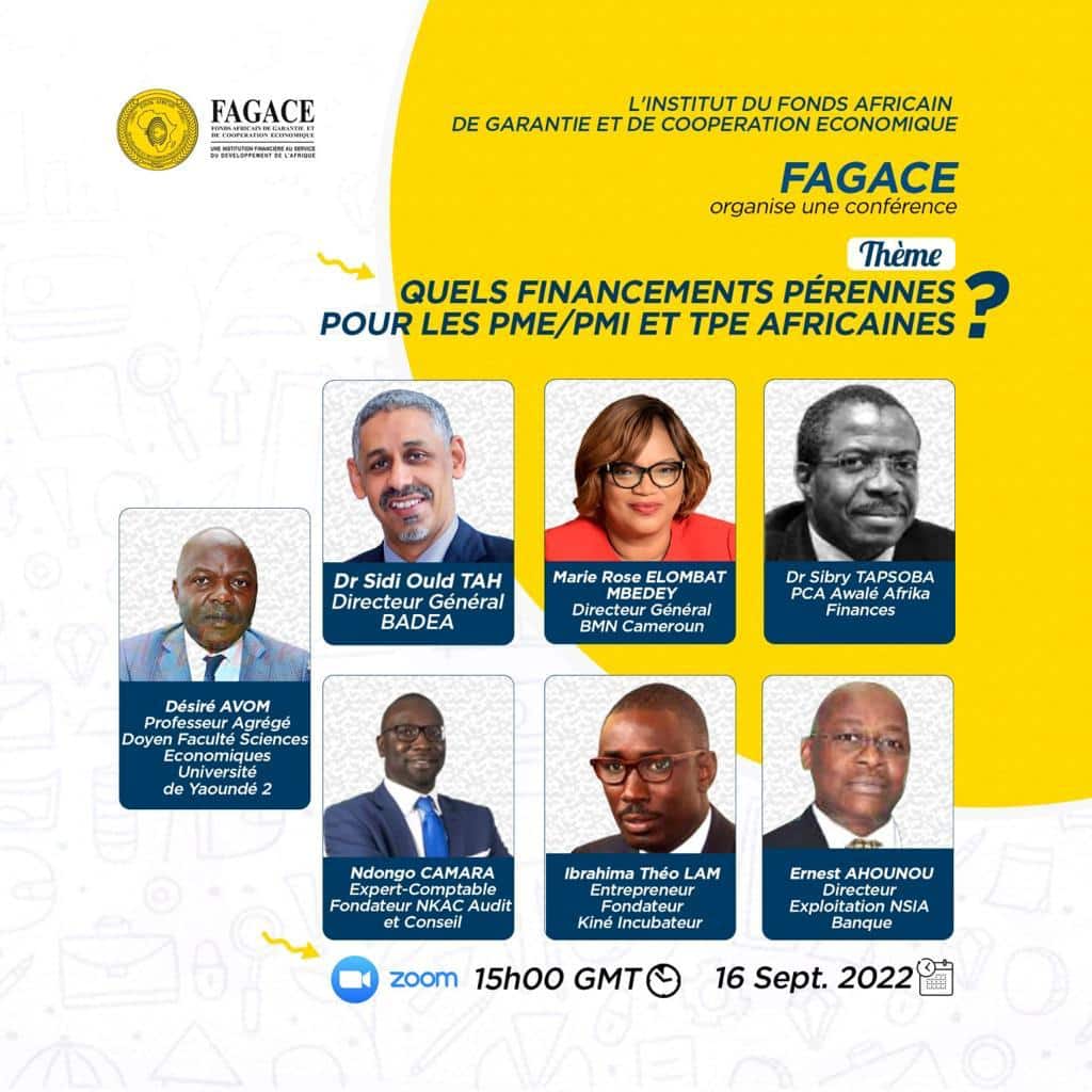 L’institut du FAGACE organise un webinaire gratuit sur le thème : quels financements pérennes pour les PME/PMI et TPE africaines ?