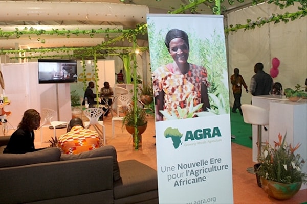 L’Agra dévoile un fonds de 550 millions de dollars pour l’agriculture verte en Afrique