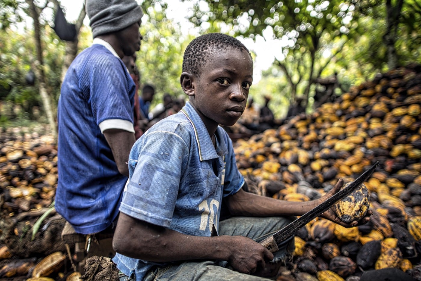 La Côte d’Ivoire et le Ghana jettent les bases  fragiles de l’OPEP du cacao 