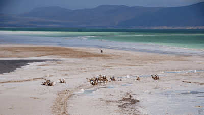 Djibouti : un sommet pour répondre aux enjeux climatiques