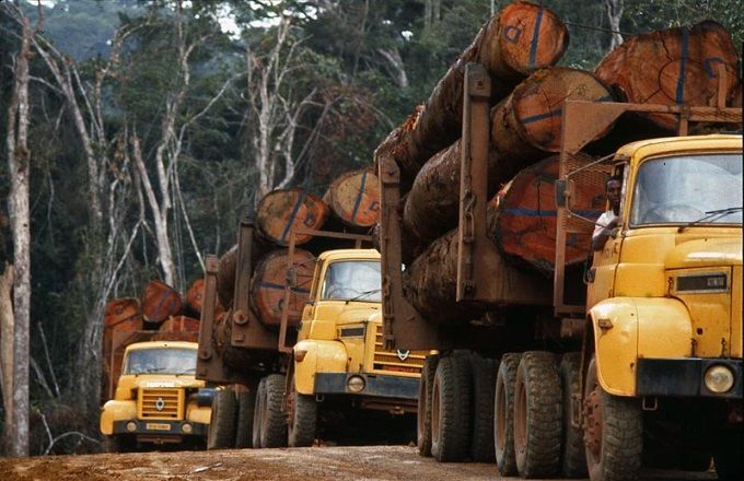 CEMAC : hausse des exportations des produits de base au 3e trimestre