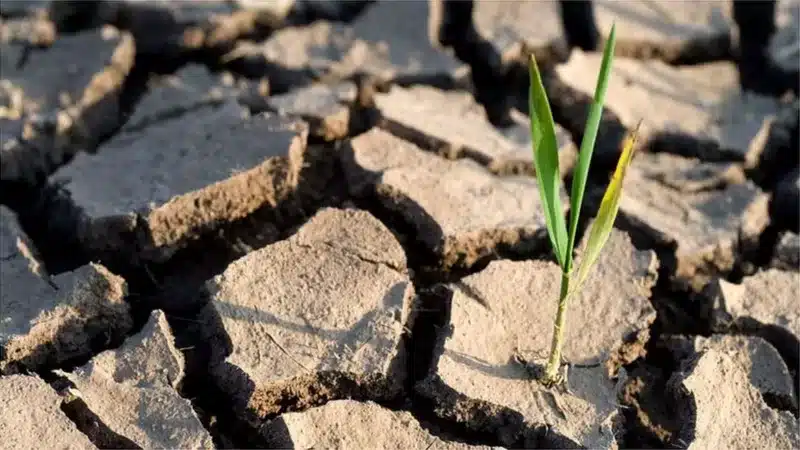 Cameroun : près de 5 % du budget 2026 pour la lutte contre le changement climatique