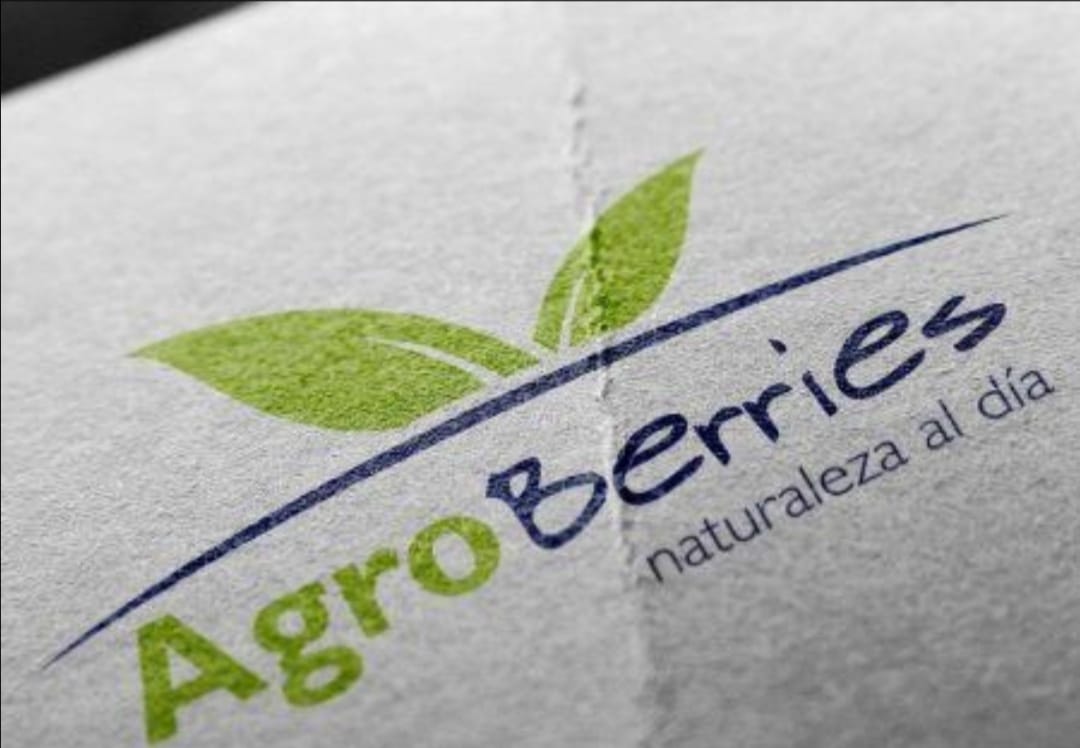 Maroc: Agroberries annonce 40 millions USD d’investissements  dans la production de myrtille