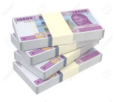 Cameroun : 135 milliards de FCFA de flux financiers illicites répertoriés