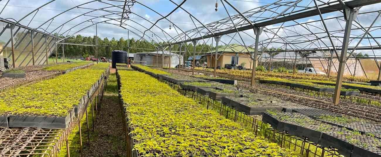 NewAfrica Impact obtient un prêt de la BAD pour des centrales bioénergétiques en Sierra Leone et au Ghana