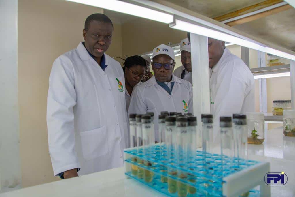 La RDC inaugure un Centre de recherche en agrumiculture