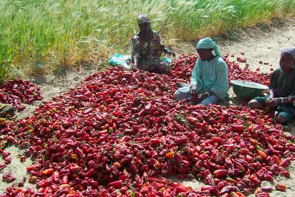 Le Fonds africain de développement mobilise 8,9 milliards de dollars, la plus importante en cinquante ans