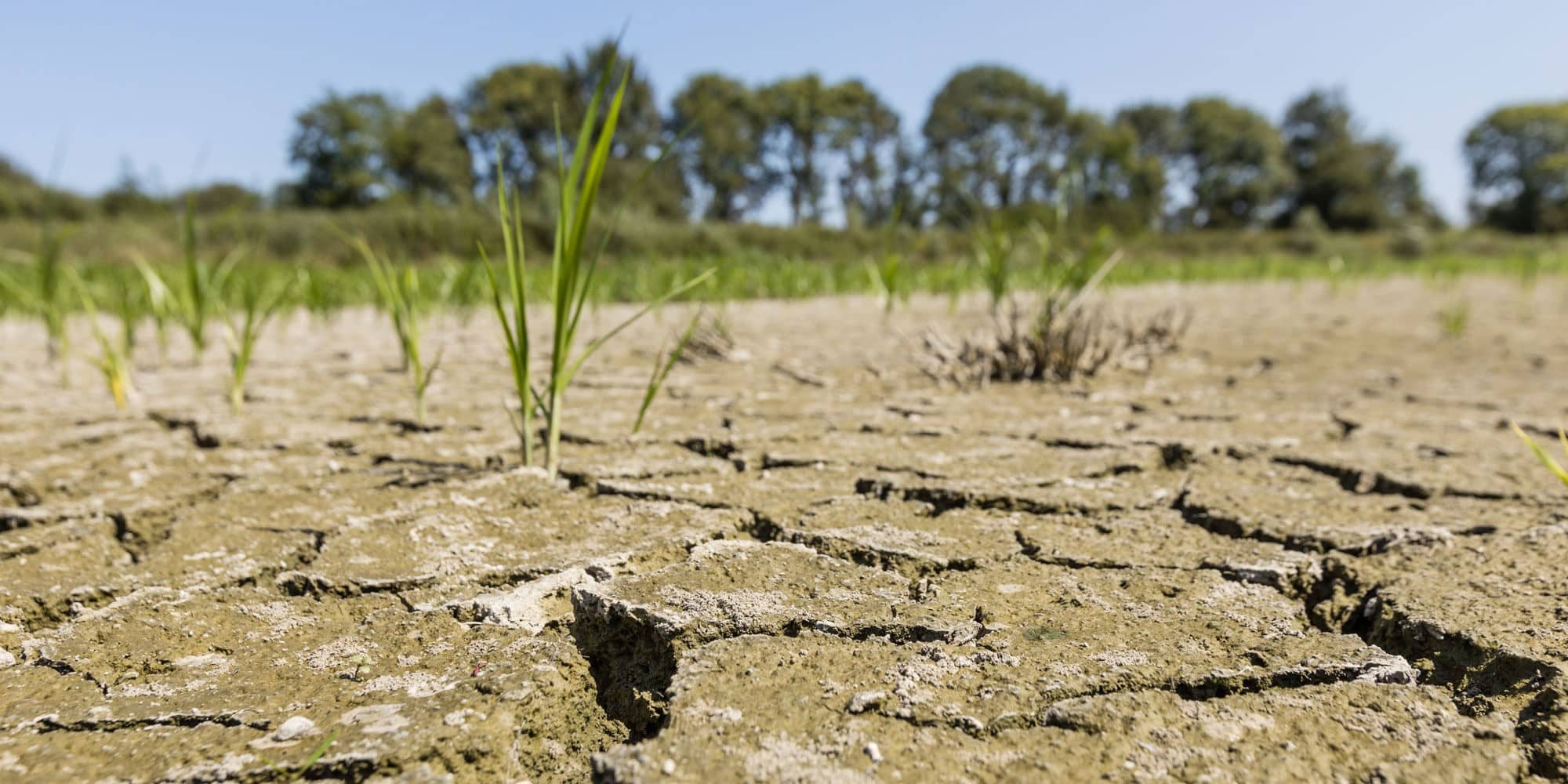 Les États-Unis et l’Europe annoncent 40 millions USD de contributions à l’Initiative d’adaptation pour l’Afrique (IAA)