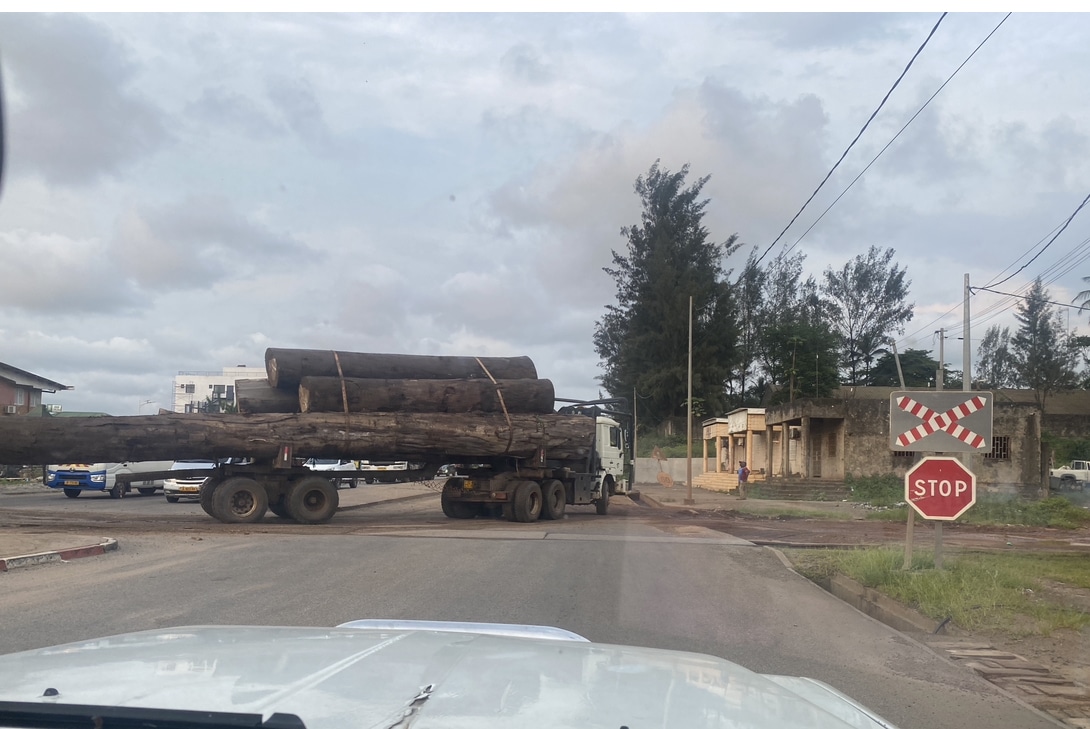 Interdiction d’exporter les grumes: le Congo emboîte le pas au Gabon suite à l’échec communautaire