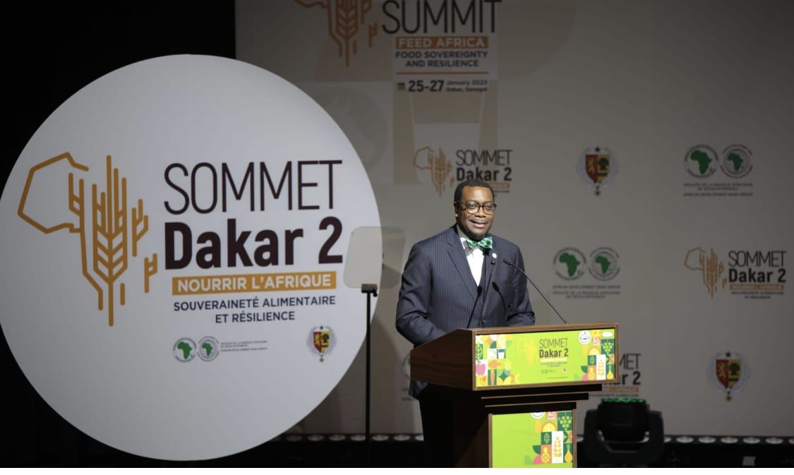 La Banque africaine de développement va investir 10 milliards de dollars pour faire de l’Afrique le grenier du monde