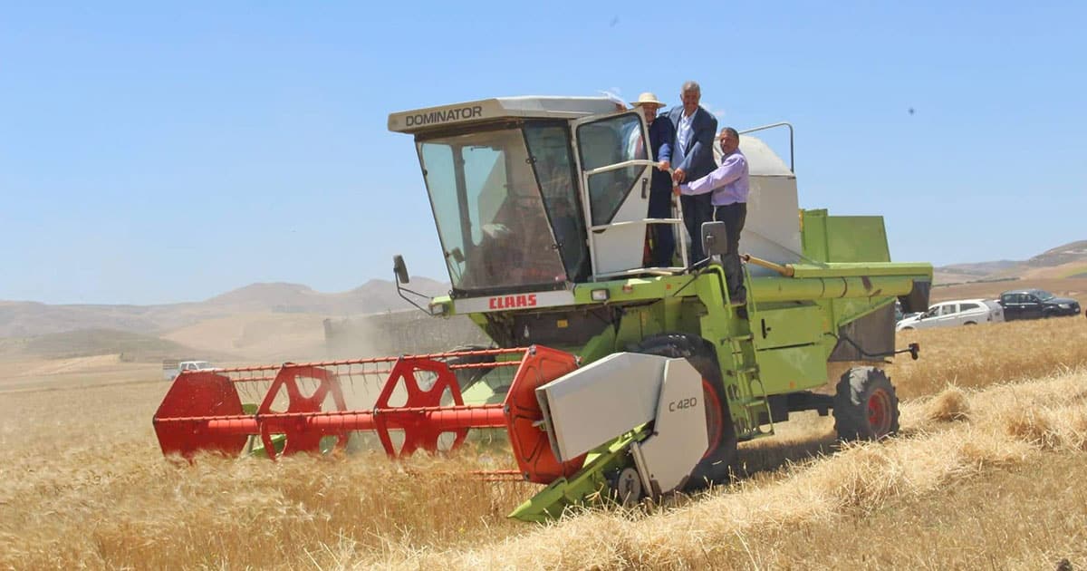 Tunisie&nbsp;: 1 269 000 hectares&nbsp;programmées pour la campagne céréalière 2022-2023