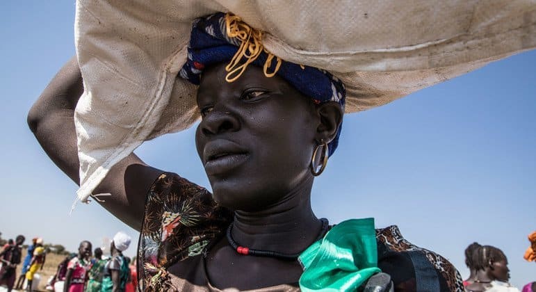 Soudan : la BII s’engage à investir 50 millions USD dans le groupe DAL pour la sécurité alimentaire