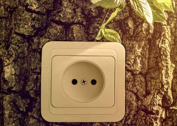 Africa GoGreen obtient 47 millions de dollars pour la résilience climatique en Afrique