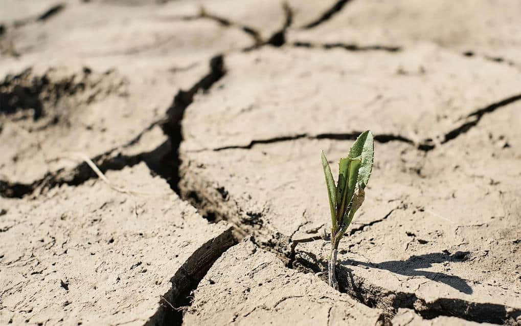 Tunisie : Détérioration de la situation hydrique pour la campagne 2022-2023