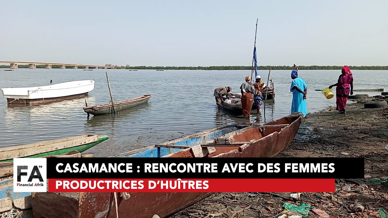 Casamance : rencontre avec des femmes productrices d’huîtres