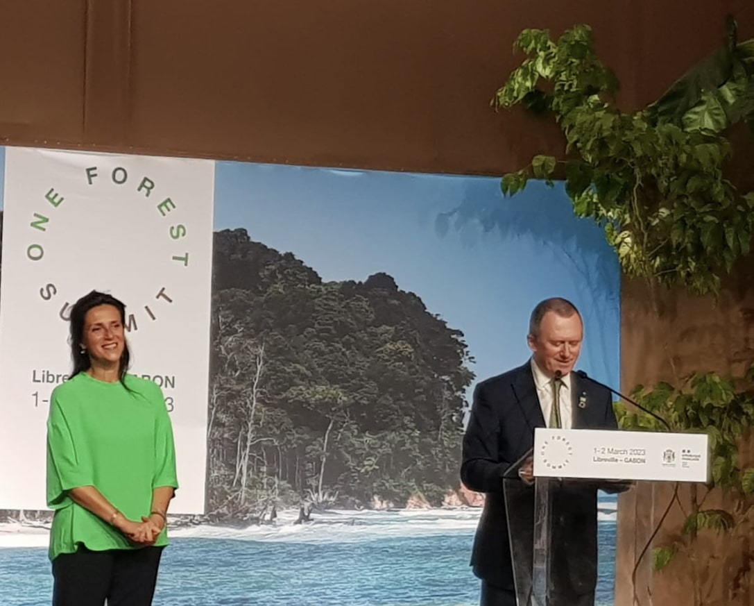 One forest Summit:les urgences de la forêt du Bassin du Congo 