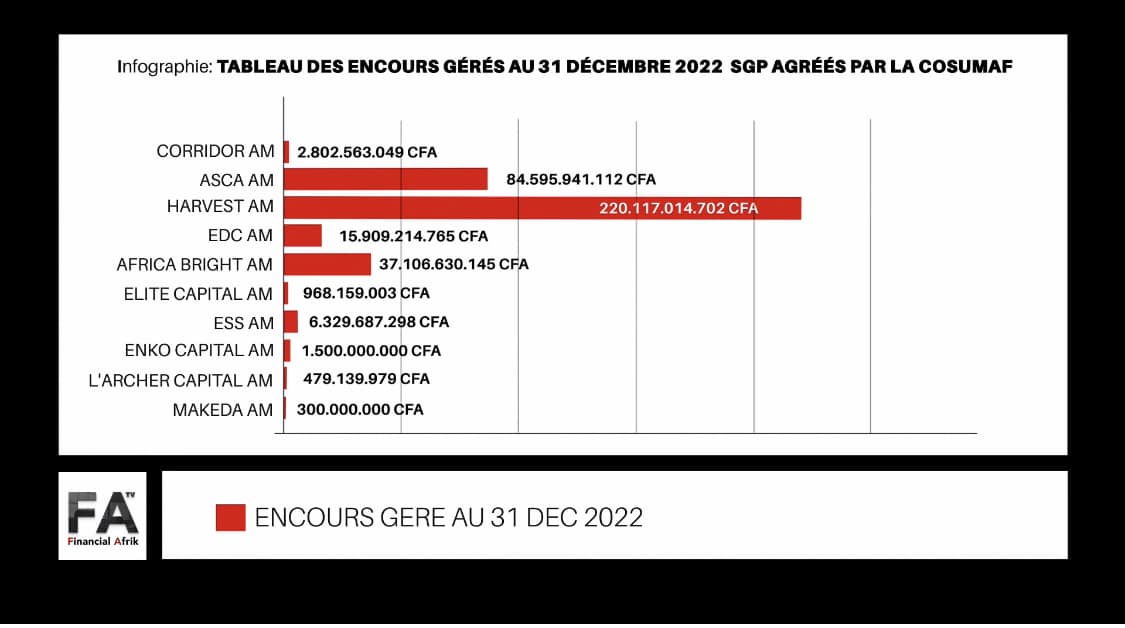 BVMAC: suprématie de Harvest dans le classement des sociétés de gestion de portefeuille(infographie)