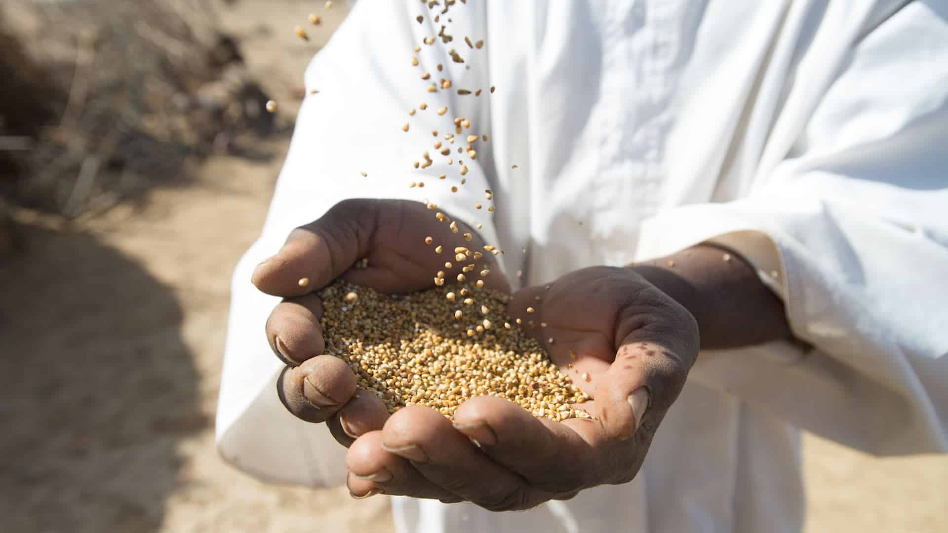 Aid-el Fitr : la  Zakat, fonction lointaine de l’or et des taux de la FED ?