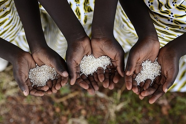 Burkina Faso : le Fonds de souveraineté alimentaire prend forme