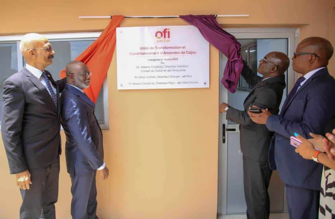 Côte d’Ivoire : le groupe Olam consolide son rang de leader dans la transformation du cajou