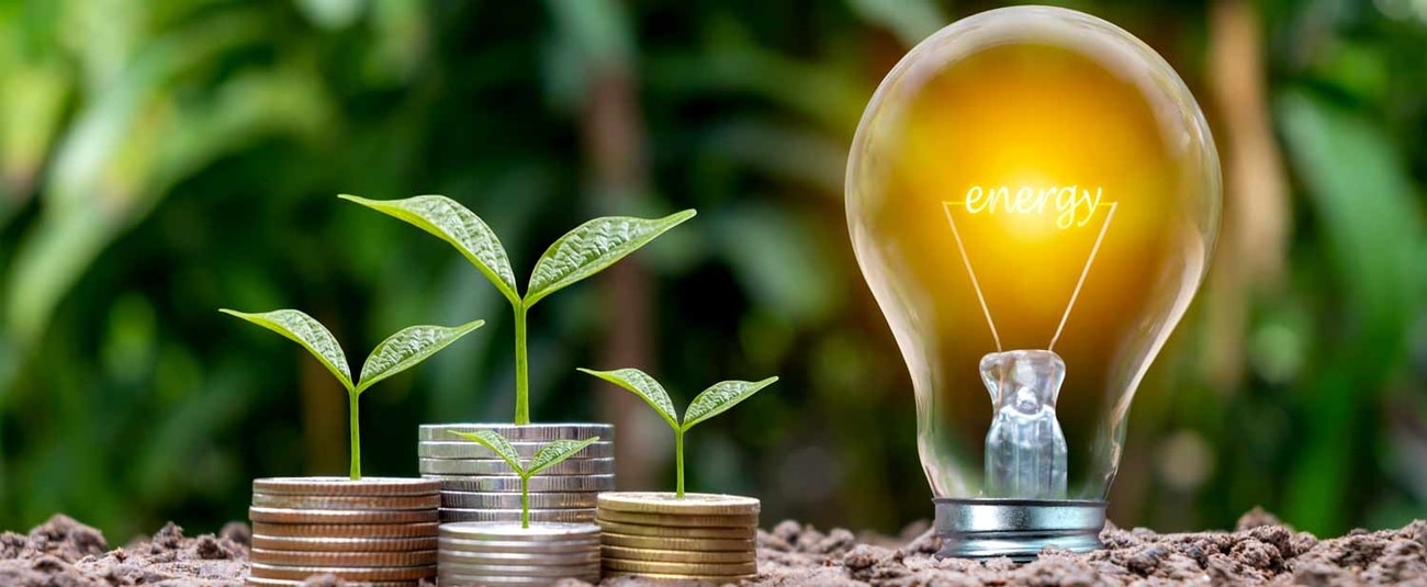 La BAD annonce les premiers bénéficiaires du financement de la Banque verte africaine