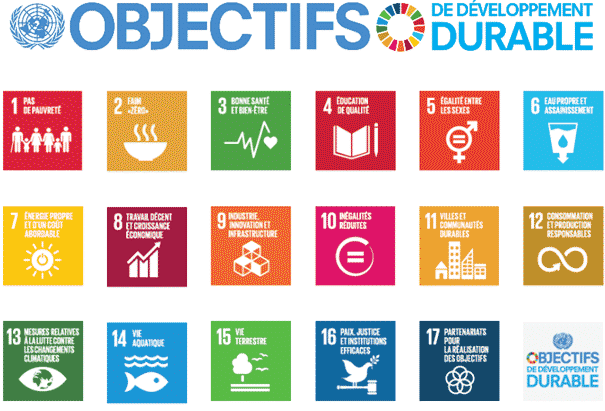 A mi-chemin de l’Agenda 2030: crises et incertitudes
