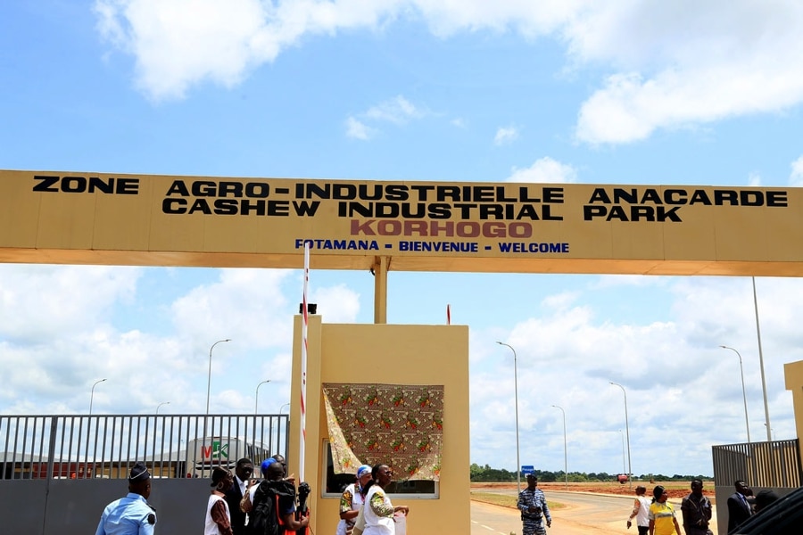 Côte d’Ivoire : une nouvelle zone agro-industrielle d’anacarde inaugurée à Korhogo