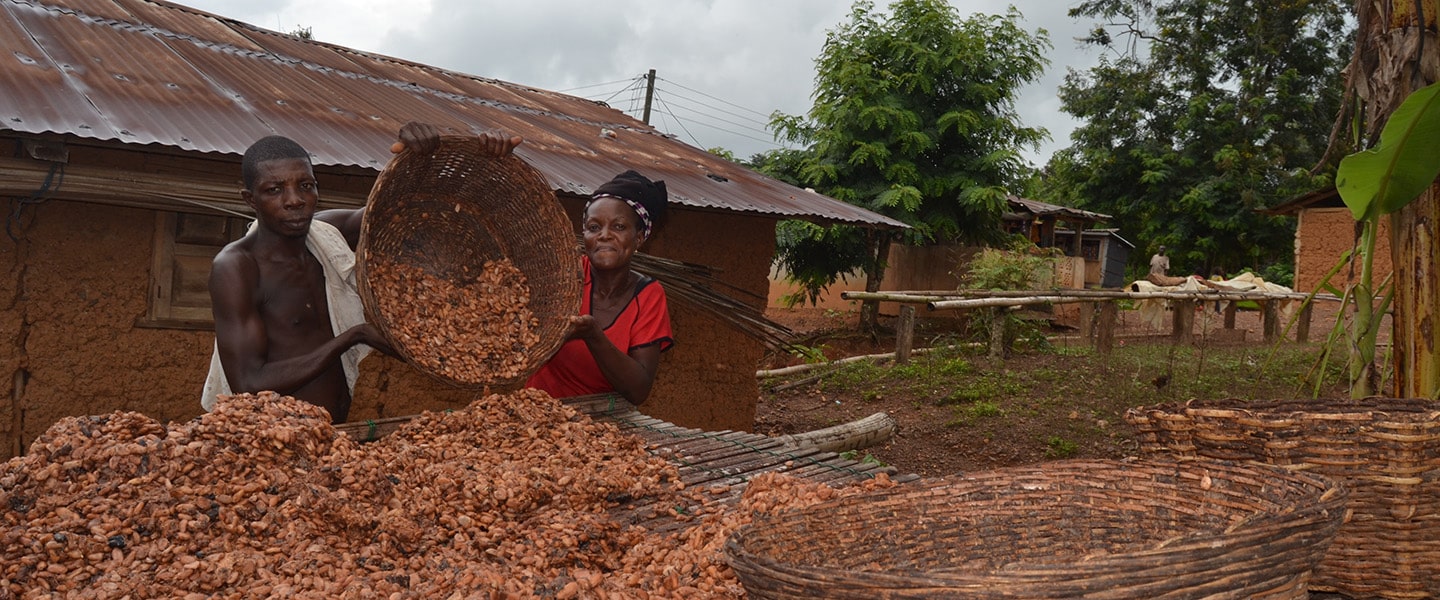 Les cacaoculteurs ghanéens plaident pour une augmentation de 72,5 % des prix à la production