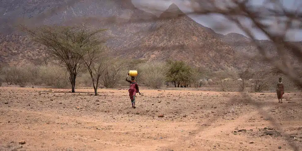 Sécheresse : les besoins du Kenya estimés à près de 229 millions de dollars