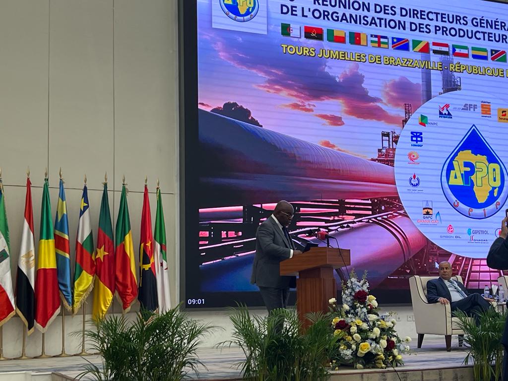 La transition énergétique alimente les débats de la 5e réunion des directeurs généraux de l&rsquo;Organisation des producteurs de pétrole africains (APPO)