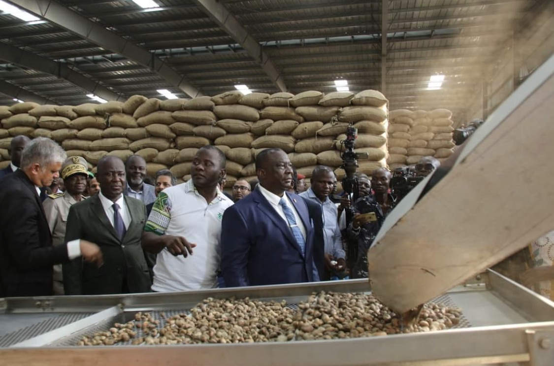 Côte d’Ivoire : la filière cajou enregistre une nouvelle grande usine de transformation