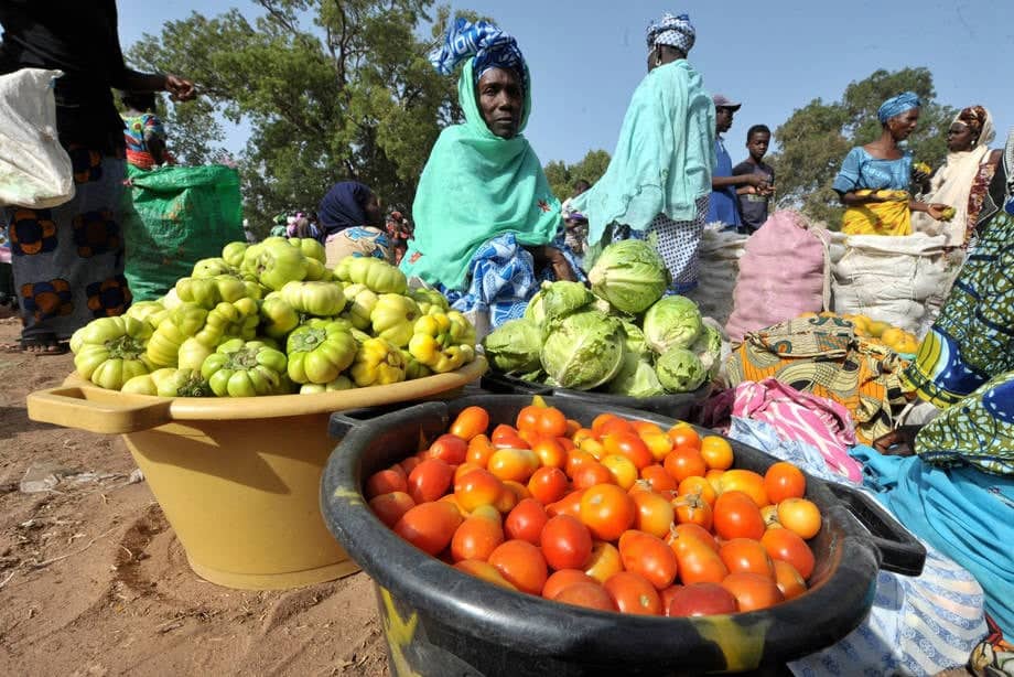 Sécurité alimentaire: la Banque Mondiale alloue 200 millions de dollars au Sénégal