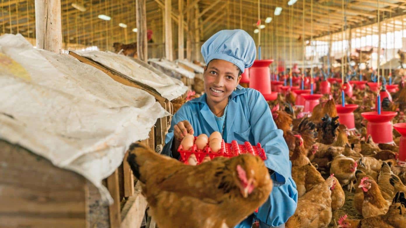 Hatch Africa obtient 9,5 millions USD d’AgDevCo et du fonds IDH Farmfit