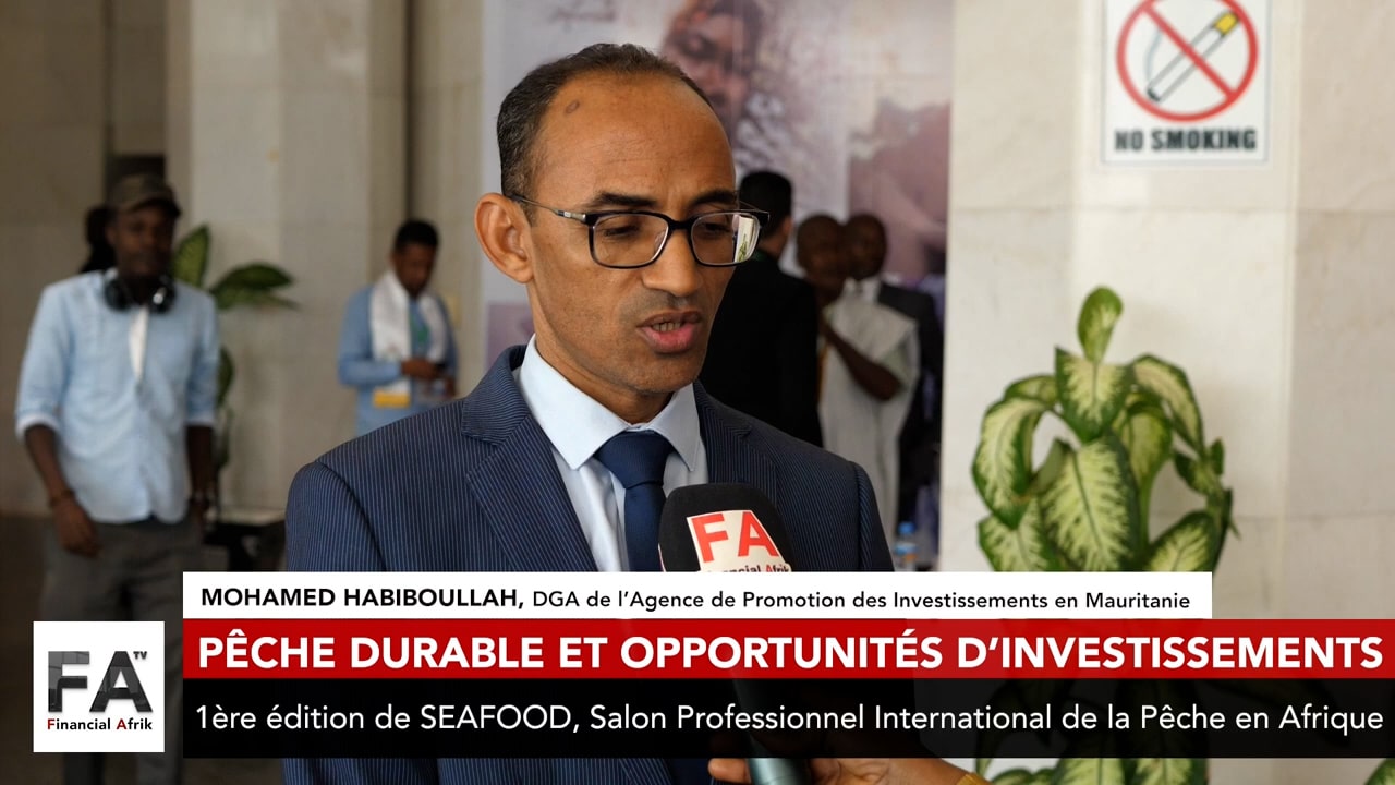 SEAFOOD : des points importants dans le code des investissements en Mauritanie