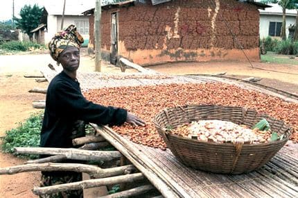 Le cours mondial du cacao s’envole 
