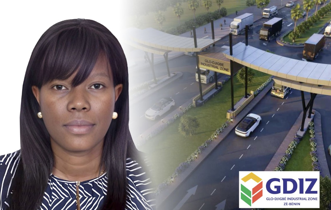 Focus sur le cadre institutionnel, légal et réglementaire de la GDIZ BENIN