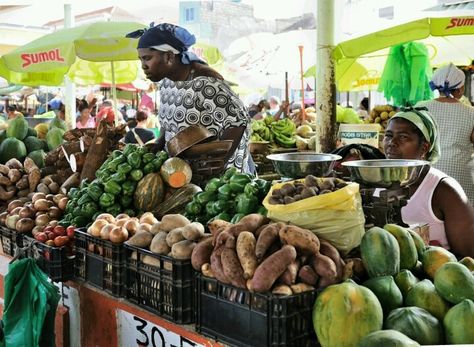 La britannique BII et TDB signent un accord de 100 millions USD pour la sécurité alimentaire en Afrique