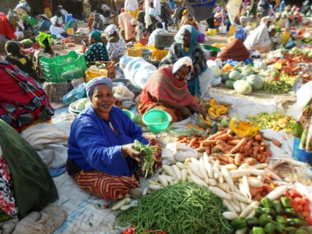 Sénégal : Relèvement de 0,3% des prix des produits exportés au mois d’avril 2024