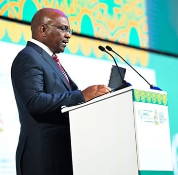 Les participants aux Assemblées annuelles 2024 d&rsquo;Afreximbank exhortent les Africains du monde entier à s&rsquo;unir