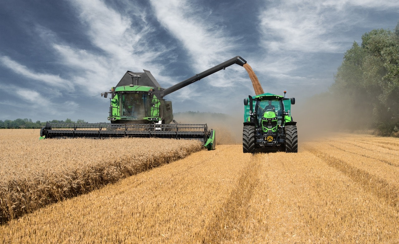 Maroc : Baisse de 43,4% de la récolte des trois principales céréales au titre de la campagne agricole 2023/2024