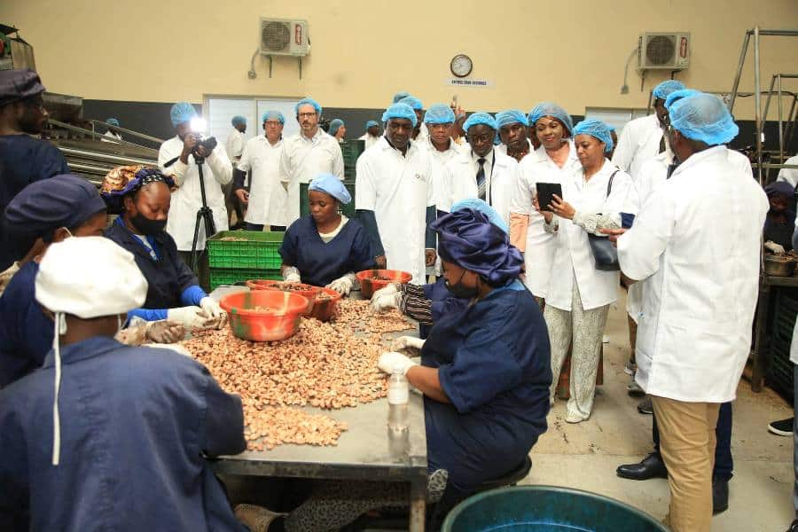 Côte d’Ivoire : les réalisations dans la filière anacarde saluées par un Réseau de parlementaires du FMI et de la BM